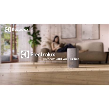 300 Air Purifier