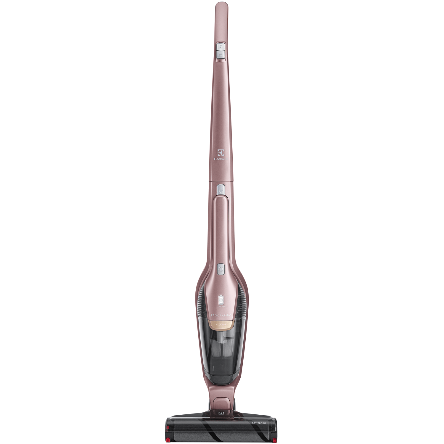 Fizika nemzetközi electrolux ergorapido power pro Érzékelhető