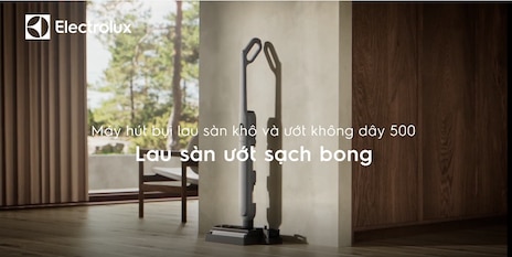 Máy hút bụi lau nhà Electrolux Wet