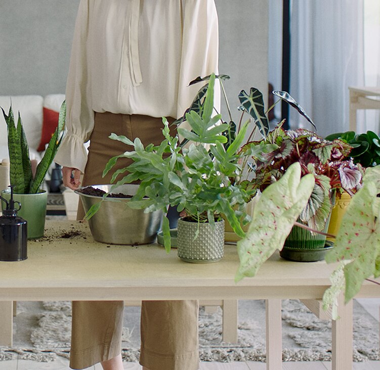 Electrolux Air purifier banner