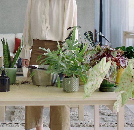 Electrolux Air purifier banner