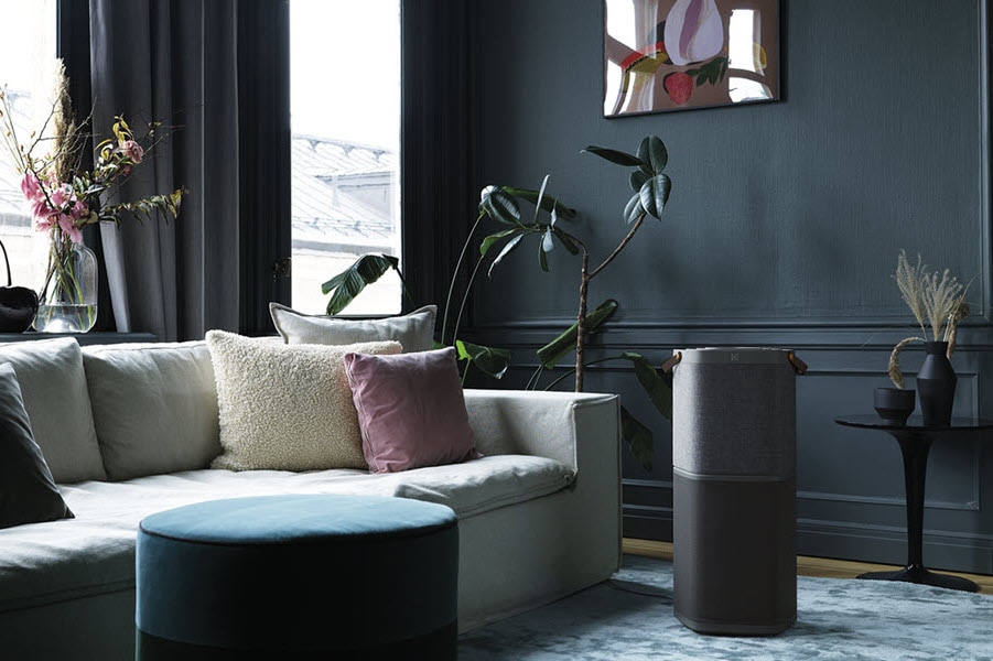6 Things to Look for in an Air Purifier