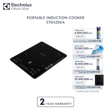 Portable induction cooker