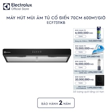 Máy hút mùi âm tủ dạng cổ điển 70cm 600m³/giờ