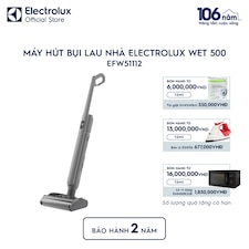 Máy hút bụi lau nhà Electrolux Wet 500