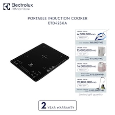 Portable induction cooker