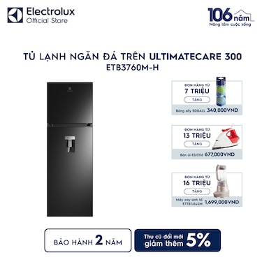 Tủ lạnh ngăn đ&#225; tr&#234;n UltimateTaste 300 341L