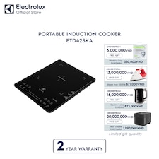 Portable induction cooker