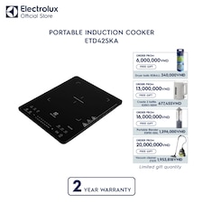 Portable induction cooker