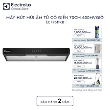 Máy hút mùi âm tủ dạng cổ điển 70cm 600m³/giờ
