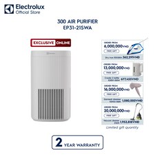 300 Air Purifier