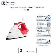 1800 watt ErgoSteam steam iron 