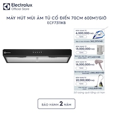 Máy hút mùi âm tủ dạng cổ điển 70cm 600m³/giờ